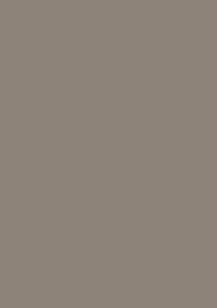 1046/8 Grey beige Фасадное полотно на основе ДСП 3000х1215х18 MBS